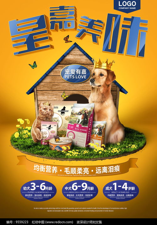 “食”刻關愛，科技賦能——寵物食品促銷與技術服務雙贏盛會